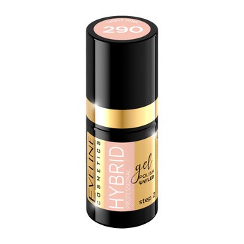 Eveline Hybrid Professional